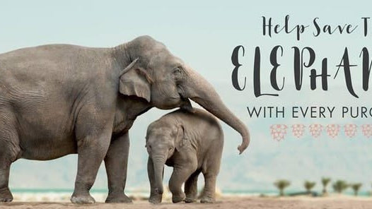 Ivory Ella Capitalises on the World’s Fascination With Elephants-Spoiled Brat