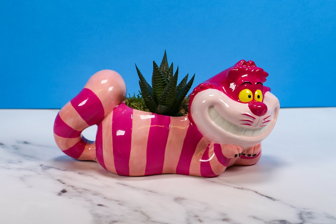 Shop Gifts for Her | Present & Gift Ideas for Women