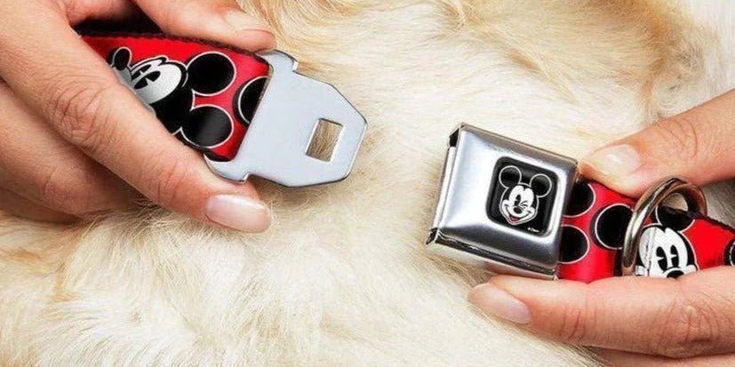 Pet Accessories UK | Stylish Dog & Cat Accessories | Spoiled Brat