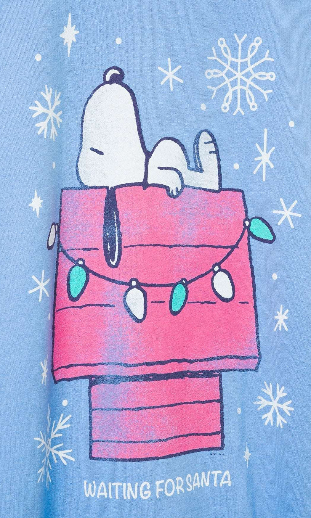 JUNKFOOD Snoopy Waiting for Santa Christmas Jumper
