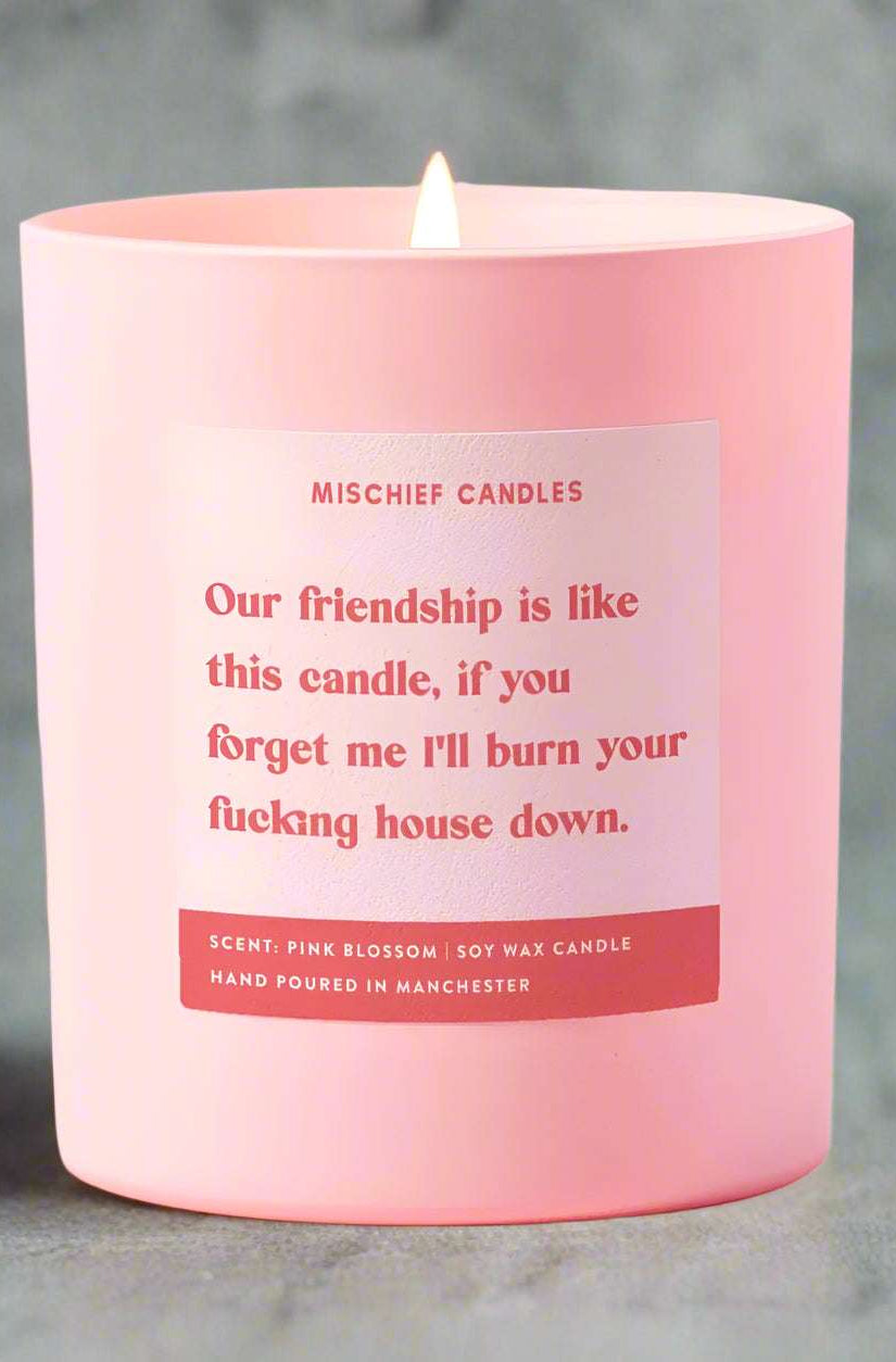 Best Friend Funny Burn House Down Gift For Her Funny Candle Candles by Mischief Candles as seen on celebrities