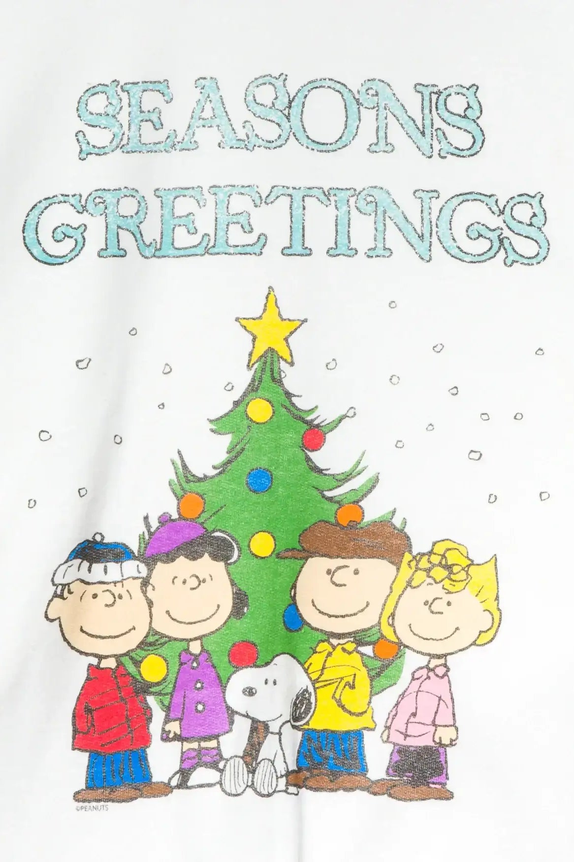 JUNKFOOD Peanuts Seasons Greetings Christmas Jumper