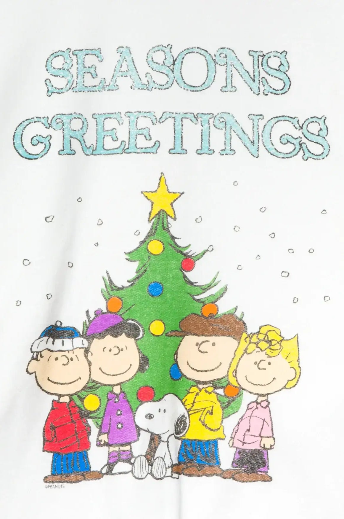 JUNKFOOD Peanuts Seasons Greetings Christmas Jumper