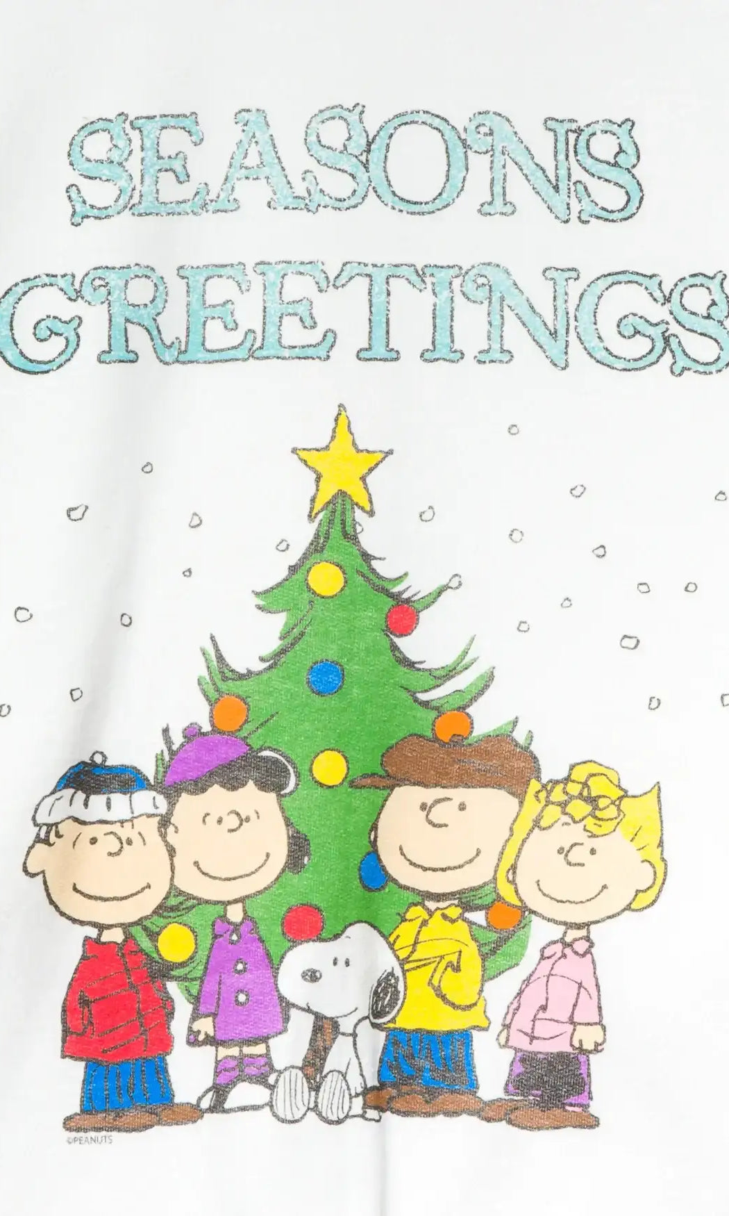 JUNKFOOD Peanuts Seasons Greetings Christmas Jumper