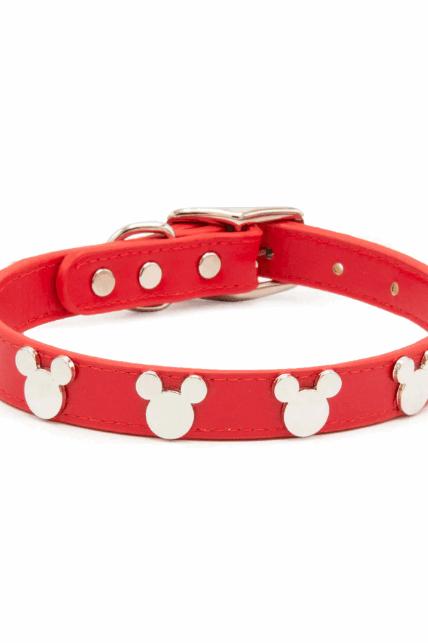 Buckle Down Products Disney Mickey Mouse Vegan Leather Dog Collar by Buckle Down Products – Dog Collar – XS (6-9" Neck) | Spoiled Brat UK