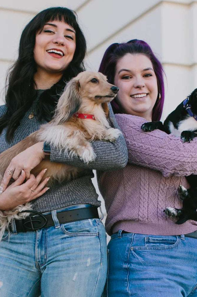 Buckle Down Products Disney Mickey Mouse Vegan Leather Dog Collar by Buckle Down Products – Dog Collar – XS (6-9" Neck) | Spoiled Brat UK