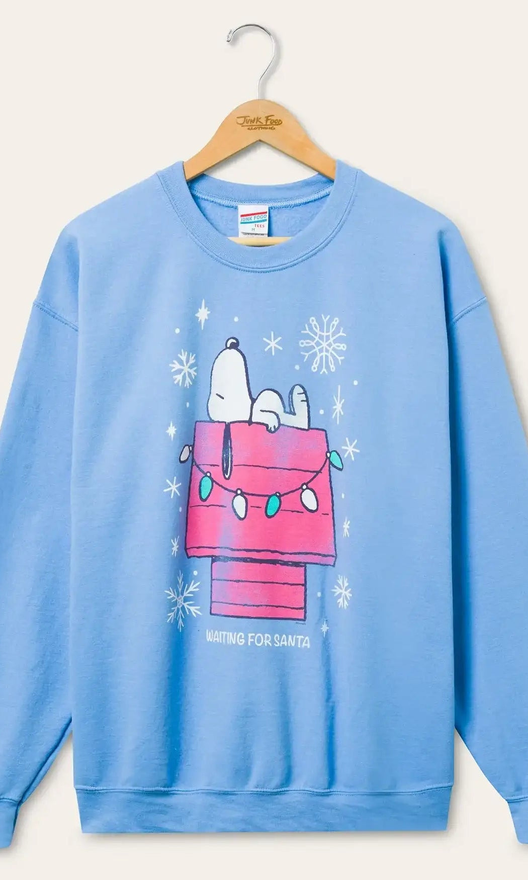 JUNKFOOD Snoopy Waiting for Santa Christmas Jumper by Junk Food – Jumper – S | Spoiled Brat UK