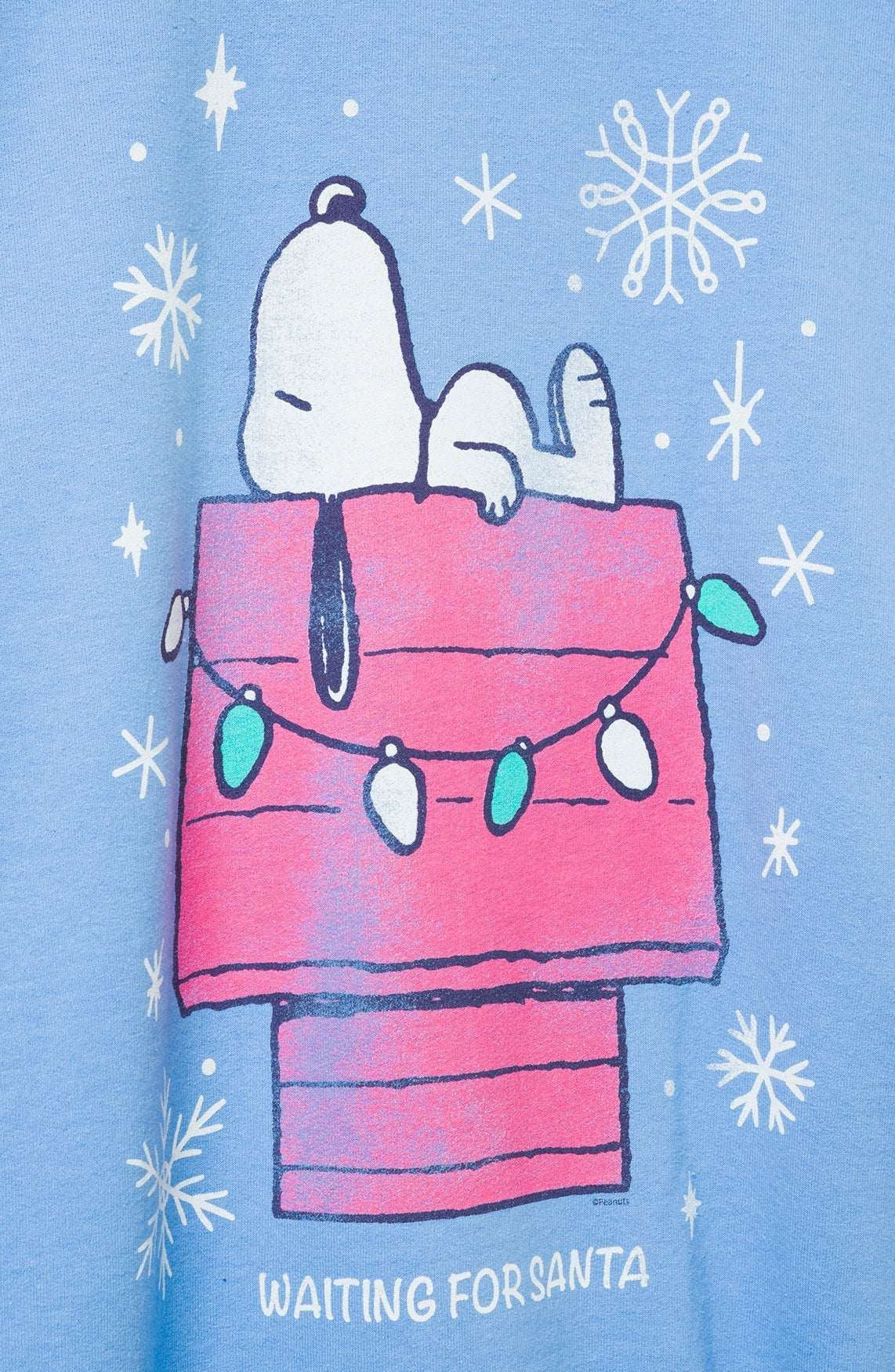 Shop Junk Food JUNKFOOD Snoopy Waiting for Santa Christmas Jumper Jumper for women – premium loungewear and festival fashion at Spoiled Brat