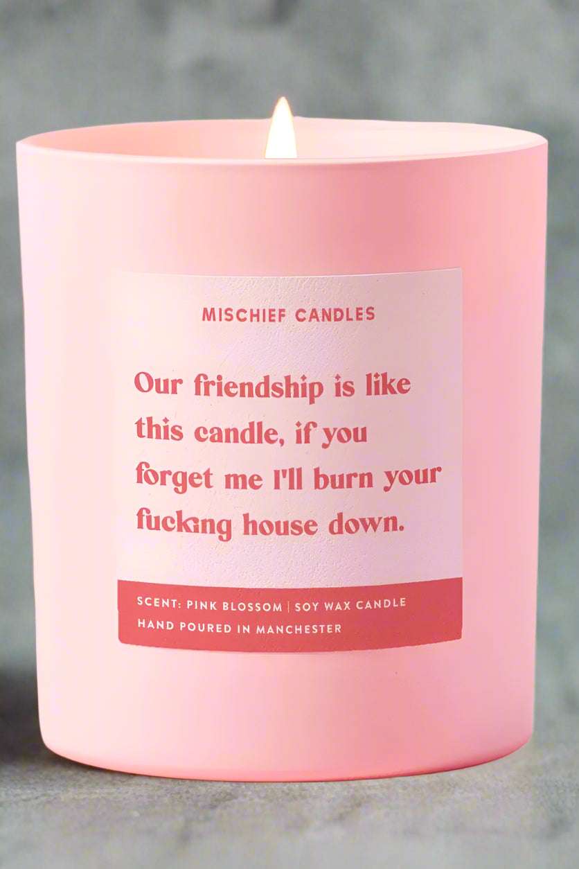 Best Friend Funny Burn House Down Gift For Her Funny Candle by Mischief Candles – Candles – Pink | Spoiled Brat UK