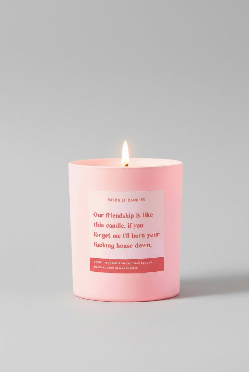 Shop Mischief Candles Best Friend Funny Burn House Down Gift For Her Funny Candle Candles for women – premium loungewear and festival fashion at Spoiled Brat