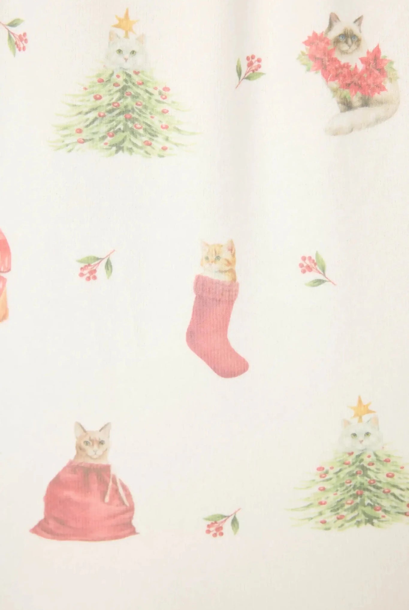 Shop PJ Salvage PJ Salvage Feline Festive Cat Print Christmas PJ Set Pyjamas for women – premium loungewear and festival fashion at Spoiled Brat