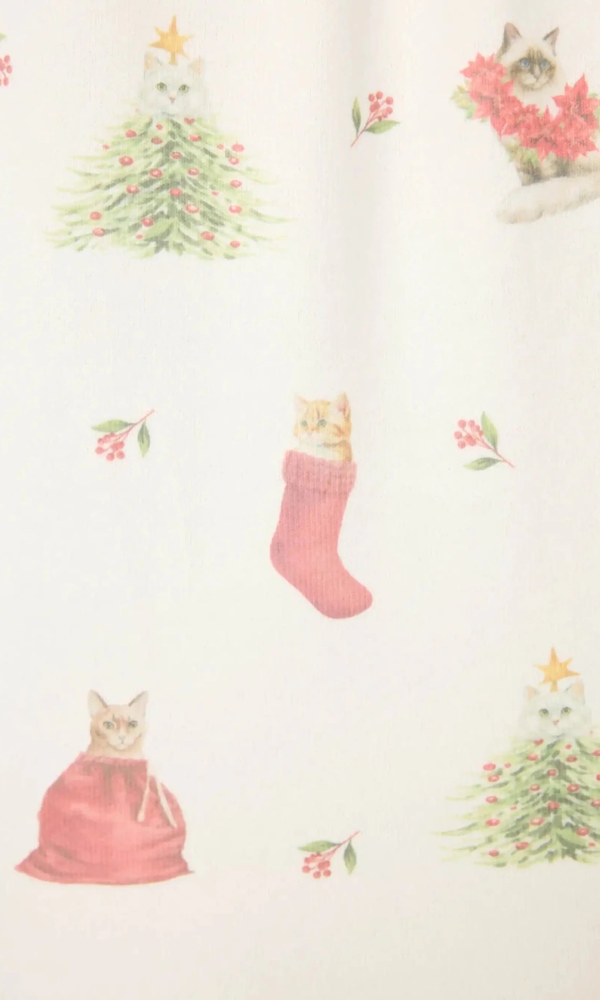 PJ Salvage Feline Festive Cat Print Christmas PJ Set by PJ Salvage – Pyjamas – White | Spoiled Brat UK