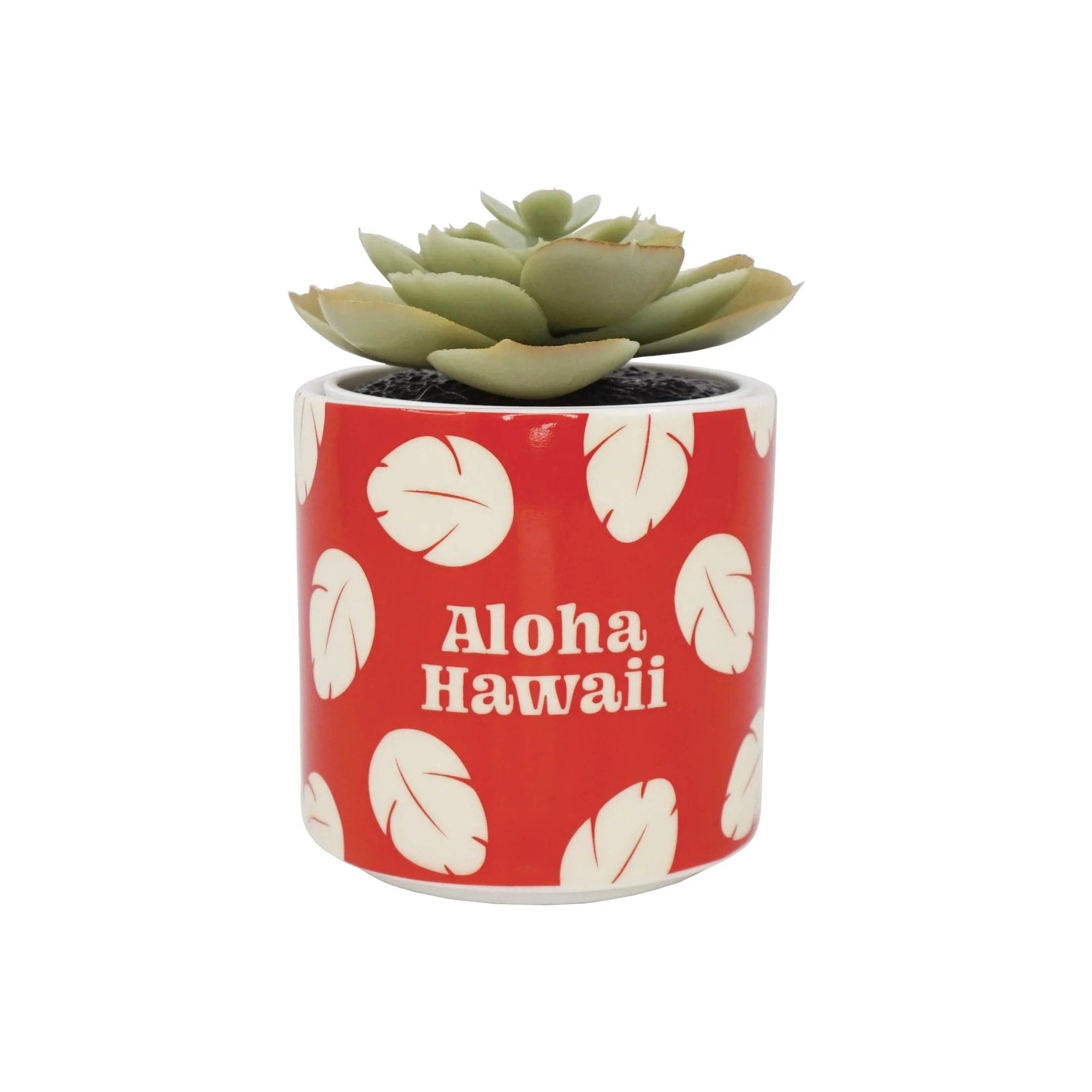 Disney Lilo & Stitch Faux Plant Pot Planter by Half Moon Bay as seen on celebrities