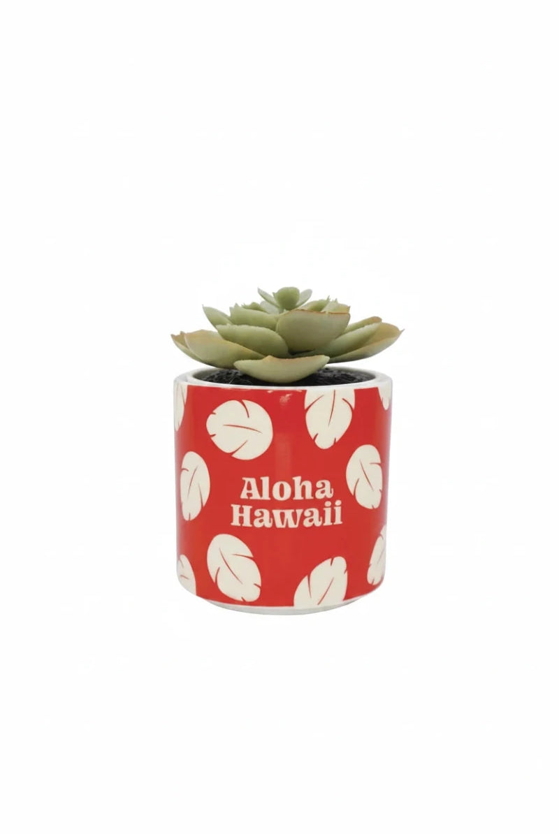 Shop Half Moon Bay Disney Lilo & Stitch Faux Plant Pot Planter for women – premium loungewear and festival fashion at Spoiled Brat