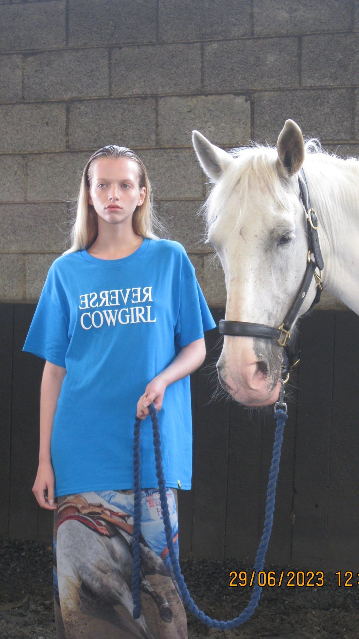 Shop Basic Pleasure Mode Basic Pleasure Mode Reverse Cowgirl Tee online at Spoiled Brat