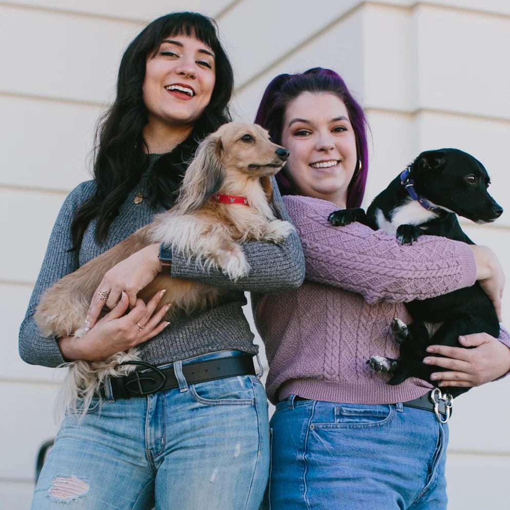 Buckle Down Products Disney Mickey Mouse Vegan Leather Dog Collar Dog Collar by Buckle Down Products as seen on celebrities