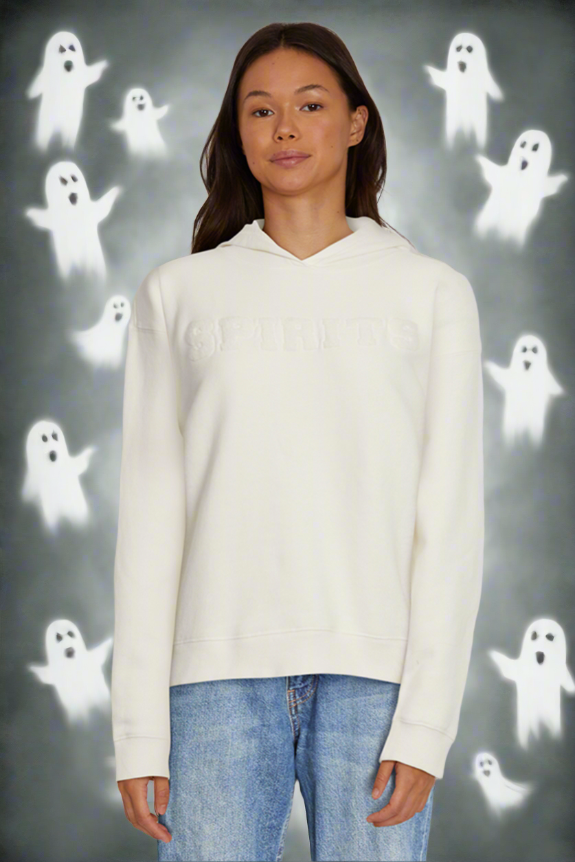 Shop Wildfox Wildfox Halloween Spirits Blake Hooded Sweatshirt online at Spoiled Brat