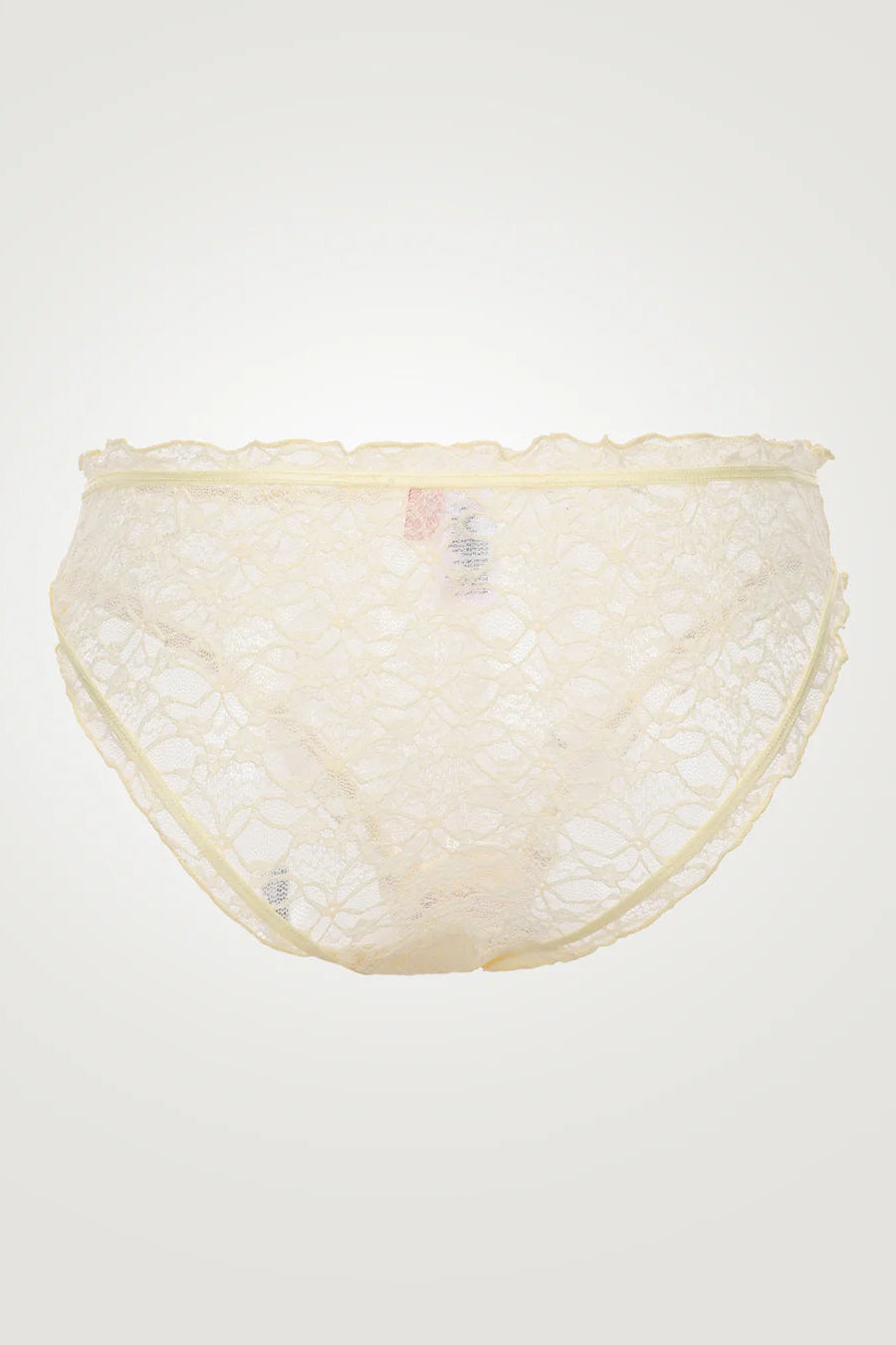 Mesh underwear with lace trim on a light gray background