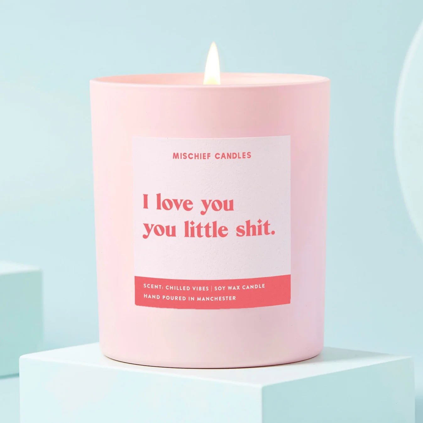 Girlfriend Boyfriend Gift Love You Little Shit Funny Candle - Spoiled Brat