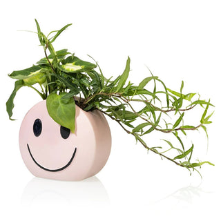 Shop Bitten Happy Sad Smile Pot - Premium Planter from Bitten Online now at Spoiled Brat 