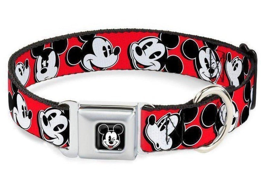 Shop Buckle Down Products Disney Mickey Mouse Seatbelt Buckle Dog Collar - Premium Dog Collar from Buckle Down Products Online now at Spoiled Brat 