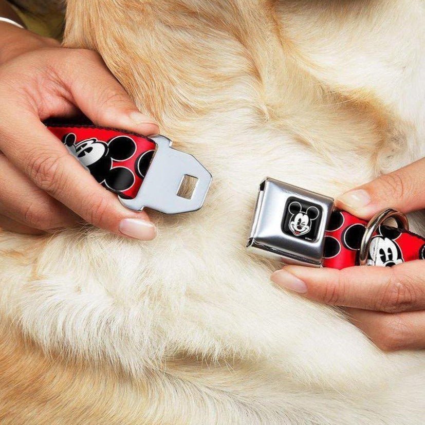 Shop Buckle Down Products Disney Mickey Mouse Seatbelt Buckle Dog Collar - Premium Dog Collar from Buckle Down Products Online now at Spoiled Brat 