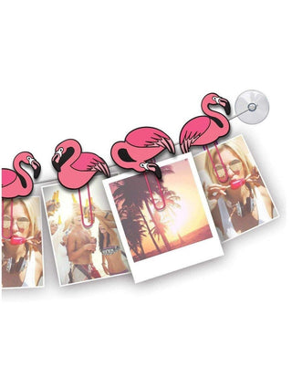Shop Mustard ClipIt Flamingo Photo Hangers - Premium Photo Hangers from Mustard Online now at Spoiled Brat 