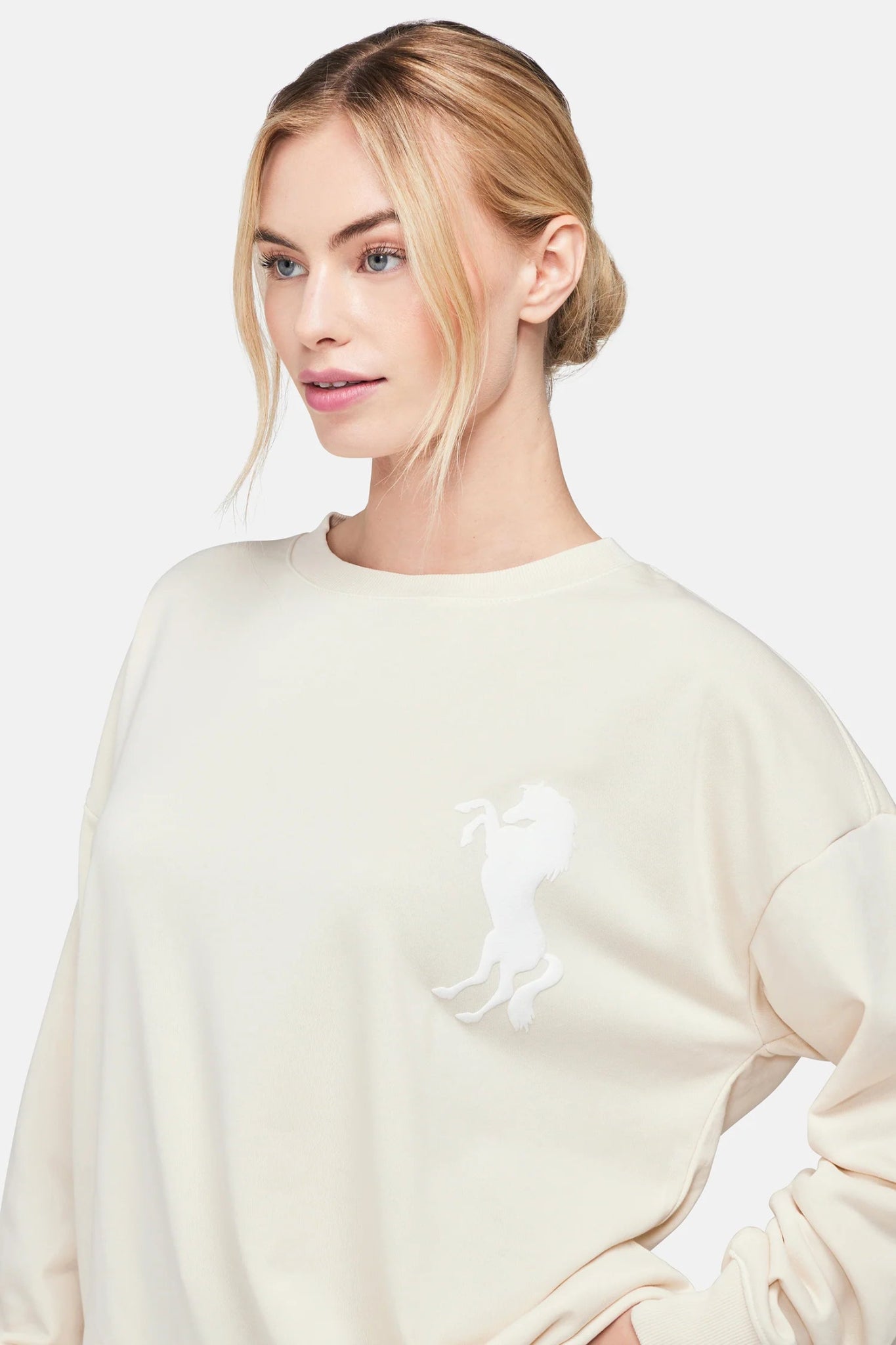 Shop Wildfox Sparkle Pony Roadtrip Sweatshirt - Premium Jumper from Wildfox Online now at Spoiled Brat 